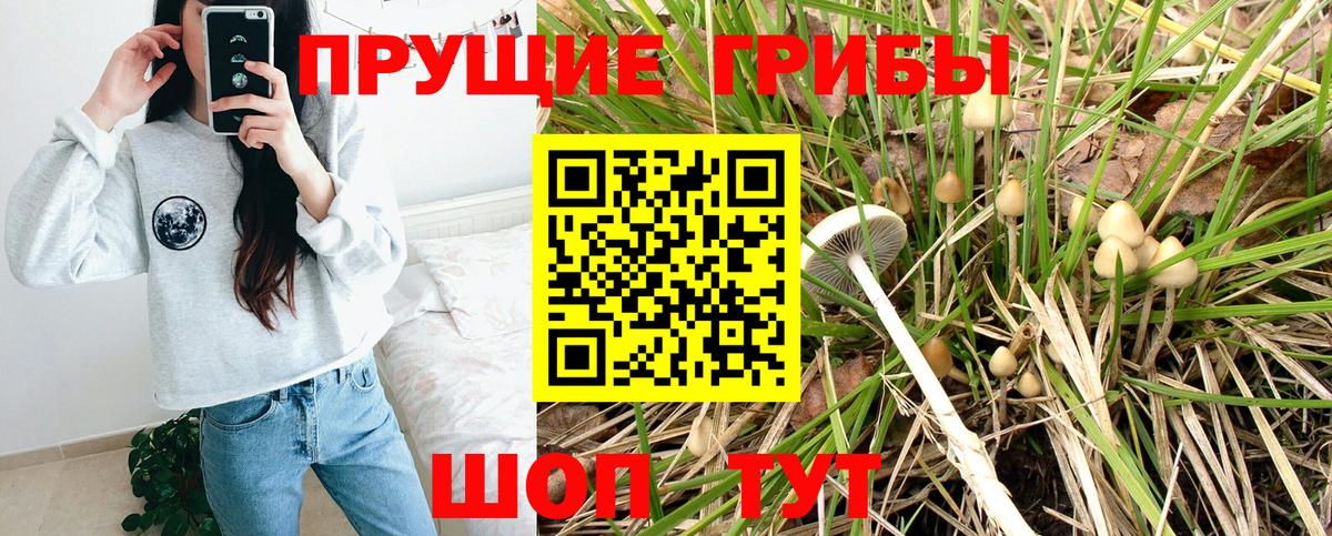 Псилоцибиновые грибы GOLDEN TEACHER  Вход с VPN  Норильск 